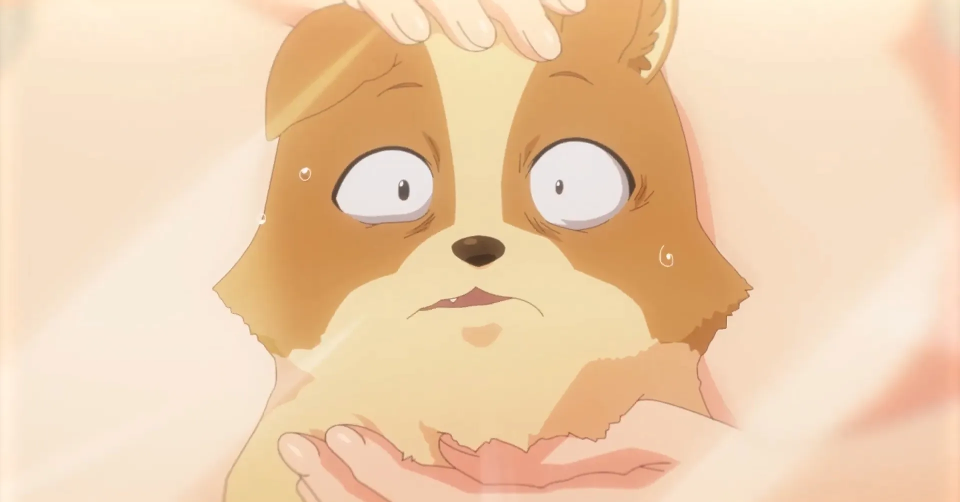Featured Image: My Life as Inukai-san's Dog TV Anime Gets New Trailer, Visual, January 2023 Premiere Date
