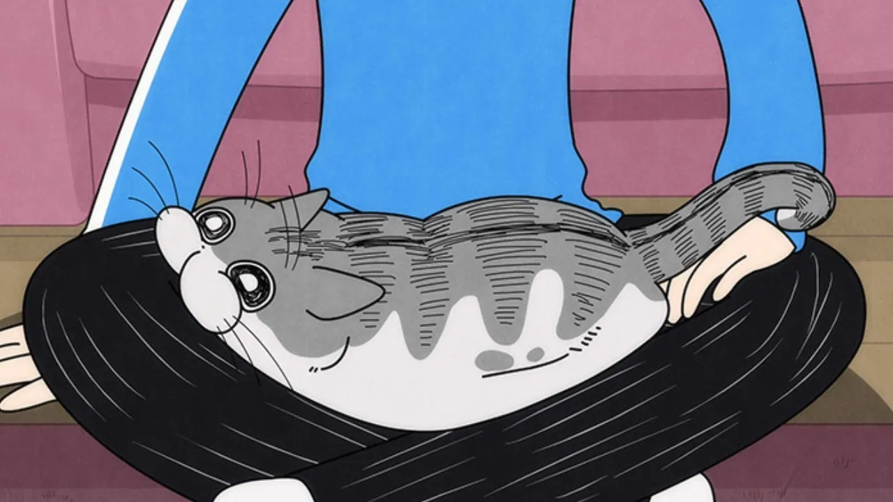 Featured Image: Nights with a Cat Releases Preview for Episode 19
