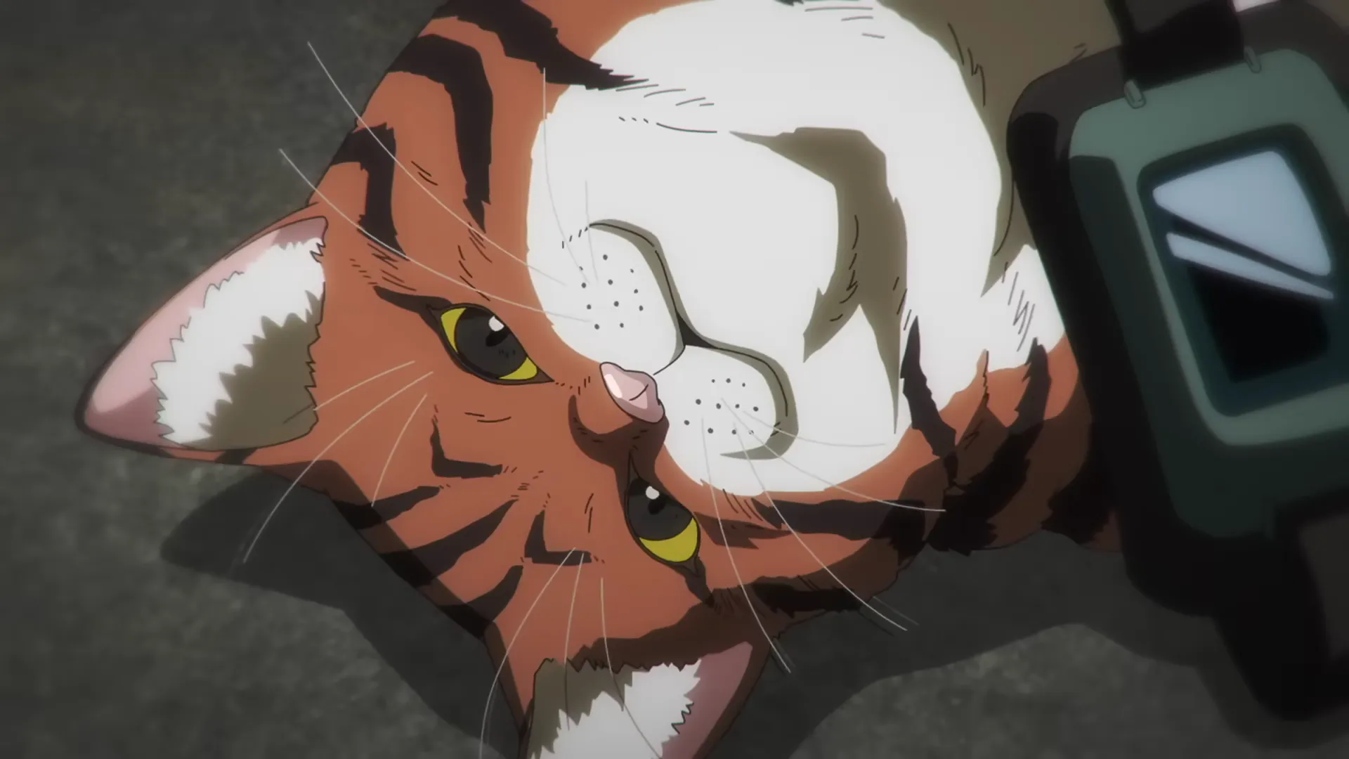 Featured Image: Nyaight of the Living Cat Anime Reveals New Trailer and Main Voice Cast, July Release Date