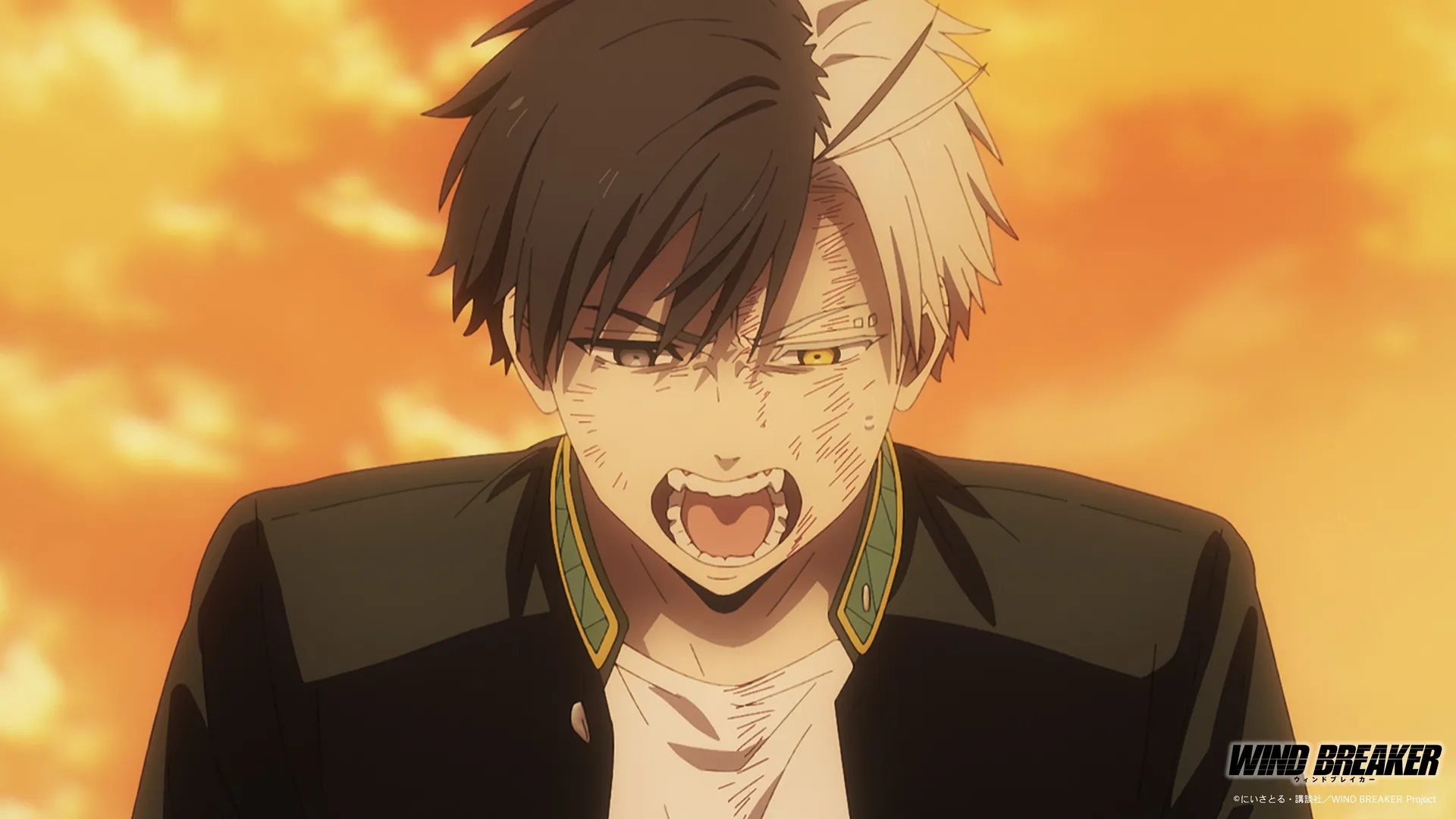 Featured Image: Wind Breaker Season 2 Episode 3 Preview Images and Staff Revealed