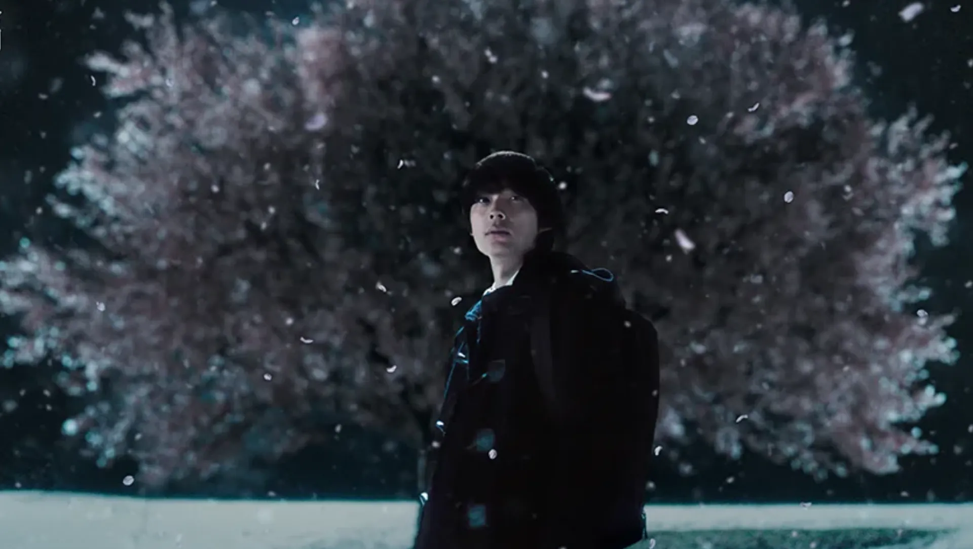 Featured Image: Live-Action 5 Centimeters Per Second Movie Reveals First Trailer, October Premiere